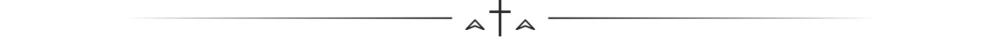 Section Divider